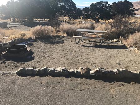 Close up view of site 2 showing picnic table, fire ring and tent site.Site 2, Pinon Flats Campground