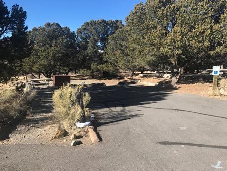 Wide view of Site #10 parking pad and gravel accessibility ramp, with tent site in background with picnic table and bear box.Site 10, Pinon Flats Campground