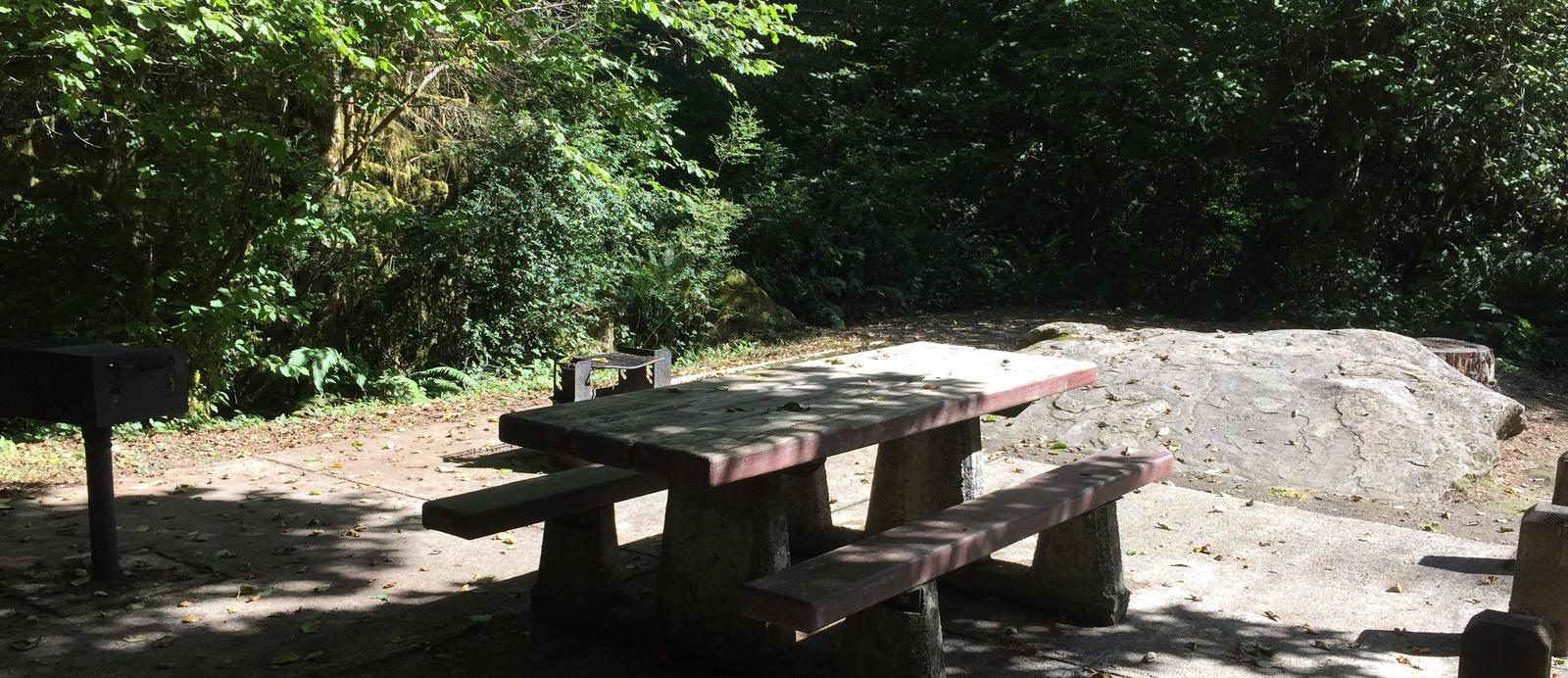 Picture of picnic table, fire ring, BBQ grill and tent pad.