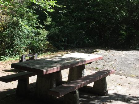 Picture of picnic table, fire ring, BBQ grill and tent pad.