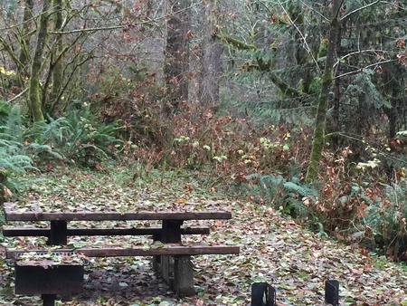 Picture of picnic table, fire ring and BBQ grill.