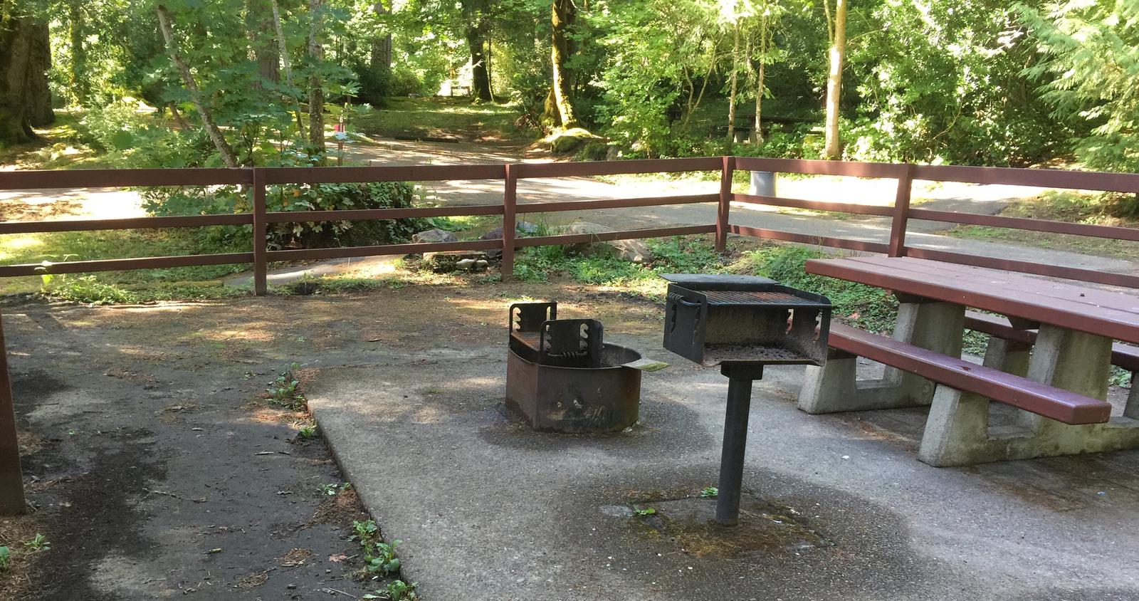 Picture of picnic table, fire ring and BBQ grill.