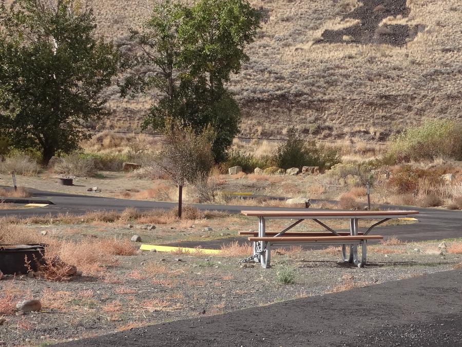 Site 26 Yakima River Canyon Campgrounds 9789