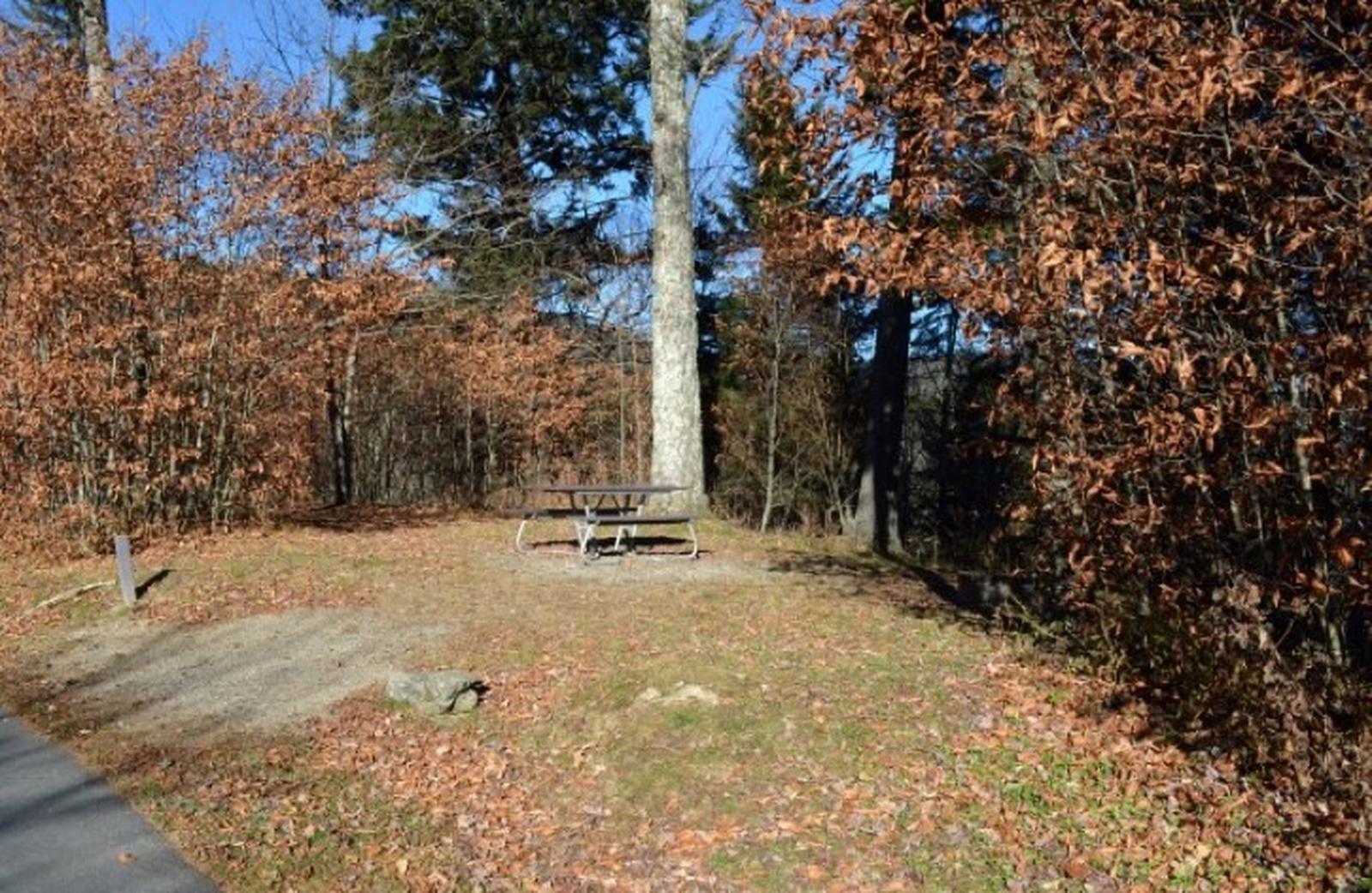 Balsam Mountain Campground Site 3