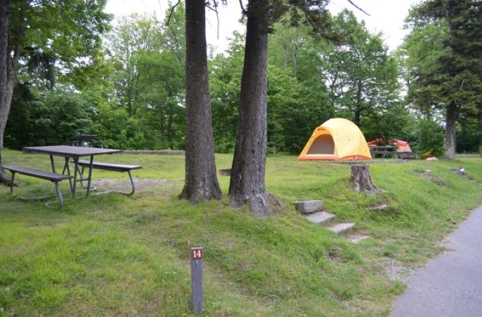  Balsam Mountain Campground Site 14
