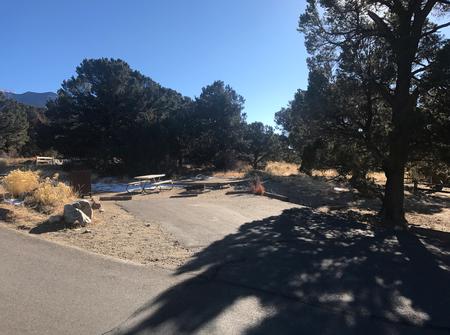 View of Site #19 parking pad, designated tent pad, bear box, picnic table and fire ring. Parking pad is not flat, with a mild and side tilted grade.Site #19, Pinon Flats Campground