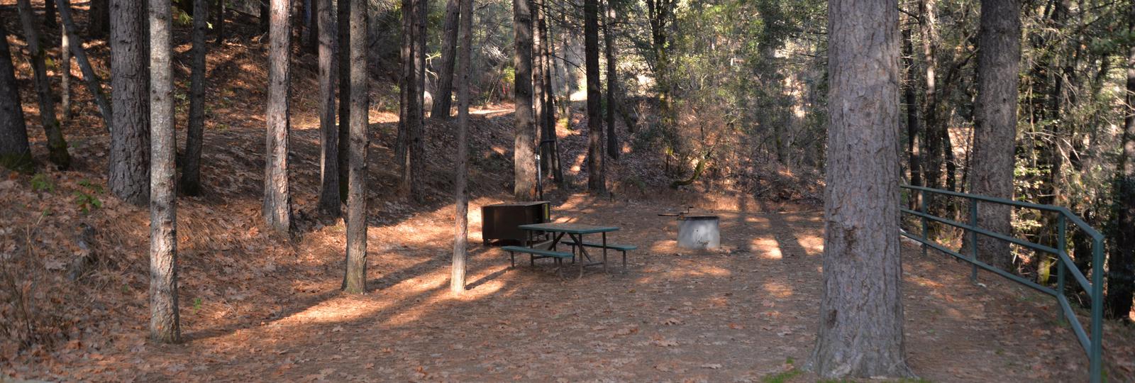 A photo of Site 002 of Loop CRYSTAL CREEK PRIMITIVE CAMPGROUND at CRYSTAL CREEK PRIMITIVE CAMPGROUND with Picnic Table, Fire Pit, Shade, Food Storage, Lantern Pole