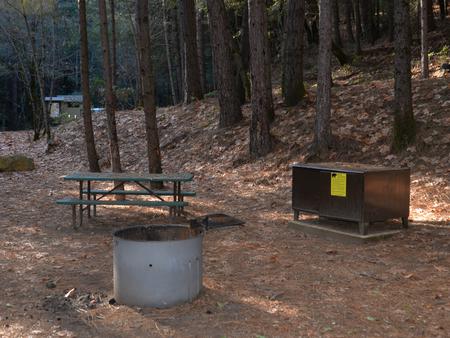 Crystal Creek Campground Site 2