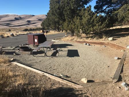 Back view of Site #33 tent area, picnic table, fire ring, and bear box.Site #33, Pinon Flats Campground