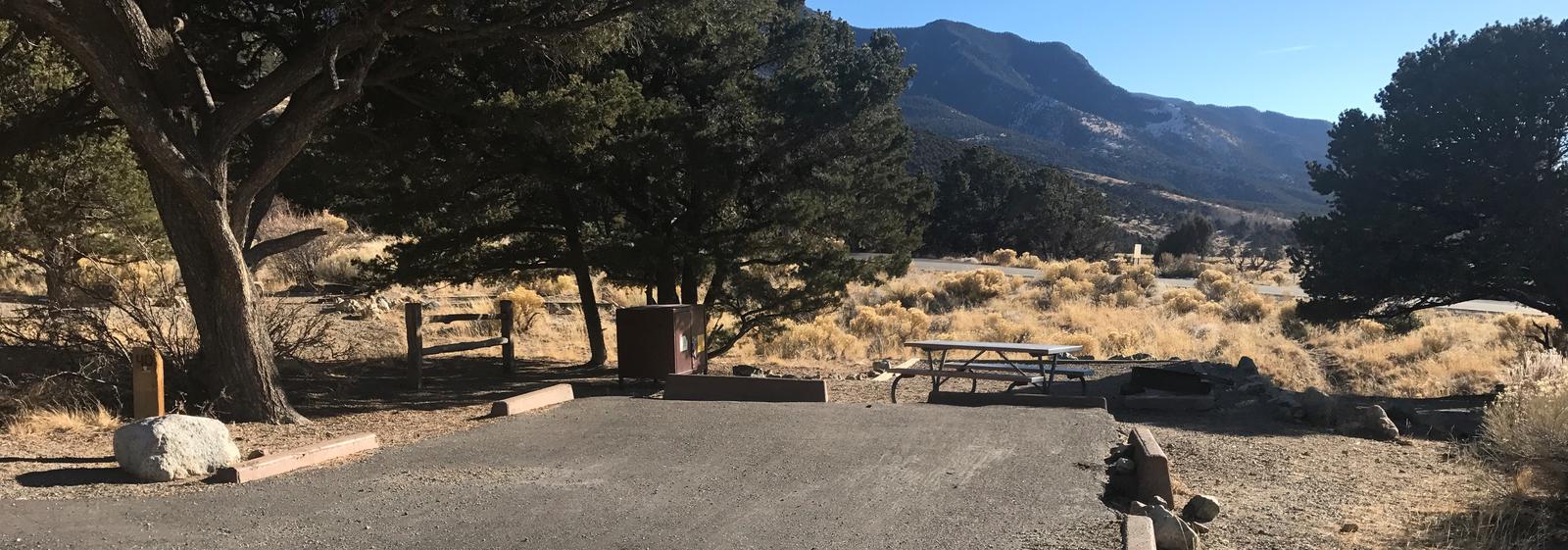 Wide view of Site #40 parking pad and designated tent pad. Photo is outdated and does not show changes due to fallen trees.Site #40, Pinon Flats Campground. Photo to be updated Spring 2021.