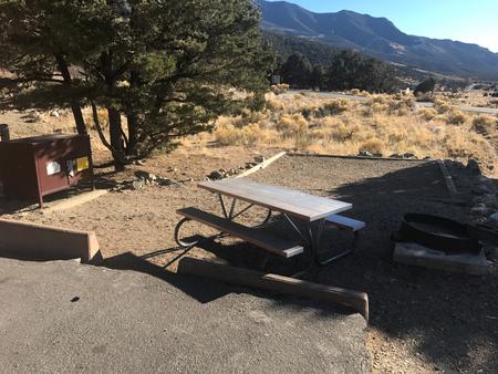 Closeup view of Site #40 designated tent pad, picnic table, bear box, and fire ring. Photo is outdated and does not show changes due to fallen trees.Site #40, Pinon Flats Campground. Photo to be updated Spring 2021.