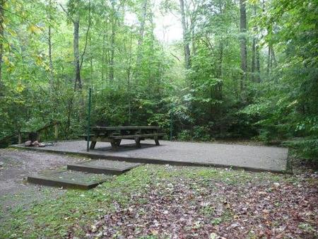 Secluded site behind hostCreek and woods.  Has stairs.