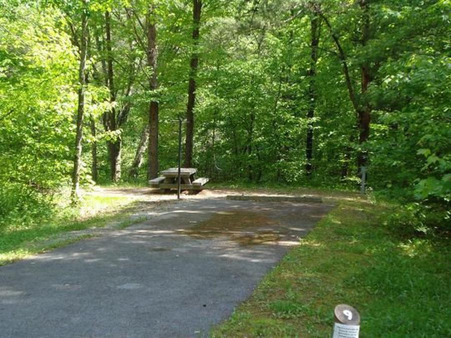 Site 009, Stony Fork Campground - Recreation.gov