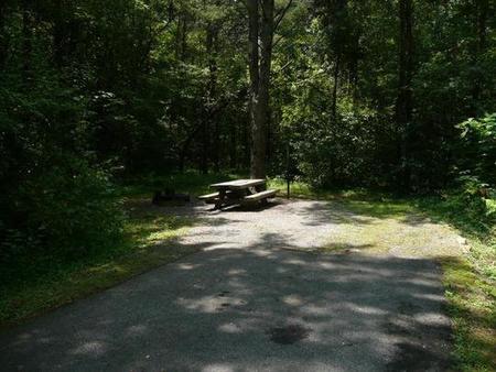 Large shaded site. Close to hiking trail. Shared water hydrant.