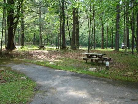 Raccoon Branch CampgroundTent, pop-up, or van site