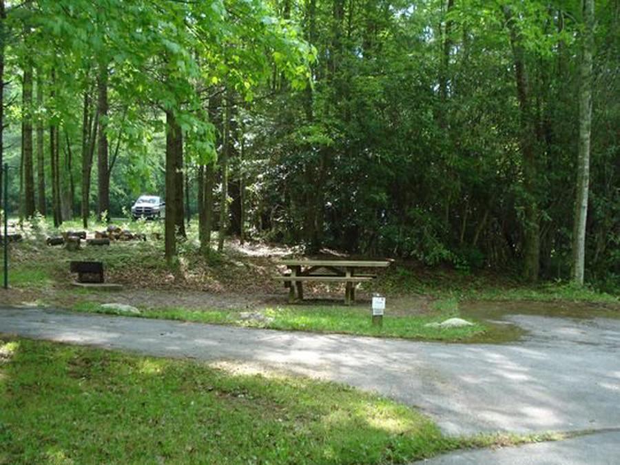 Site 002, Raccoon Branch Campground - Recreation.gov