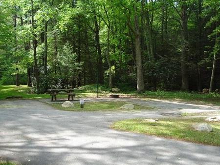 Raccoon Branch CampgroundSite with woods behind it.  Open area with large picnic table near creek.