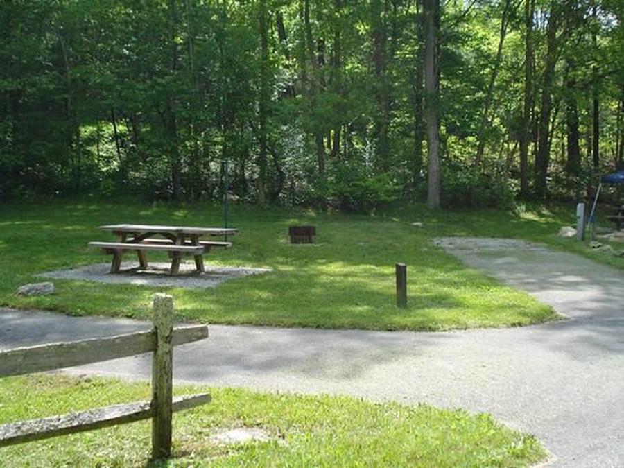 Site 013, Raccoon Branch Campground - Recreation.gov