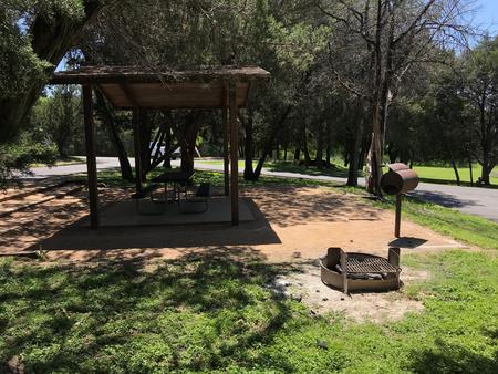 Covered picnic table, grill, and fire ring at site