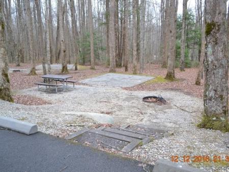 A photo of Site A15 Loop A-Loop at COSBY CAMPGROUND with Picnic Table, Fire Pit, Tent PadA photo of Site A15 with the stairs in winter