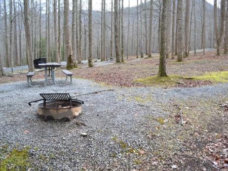 A photo of Site A18 of Loop A-Loop at COSBY CAMPGROUND with Picnic Table winterWinter picnic area