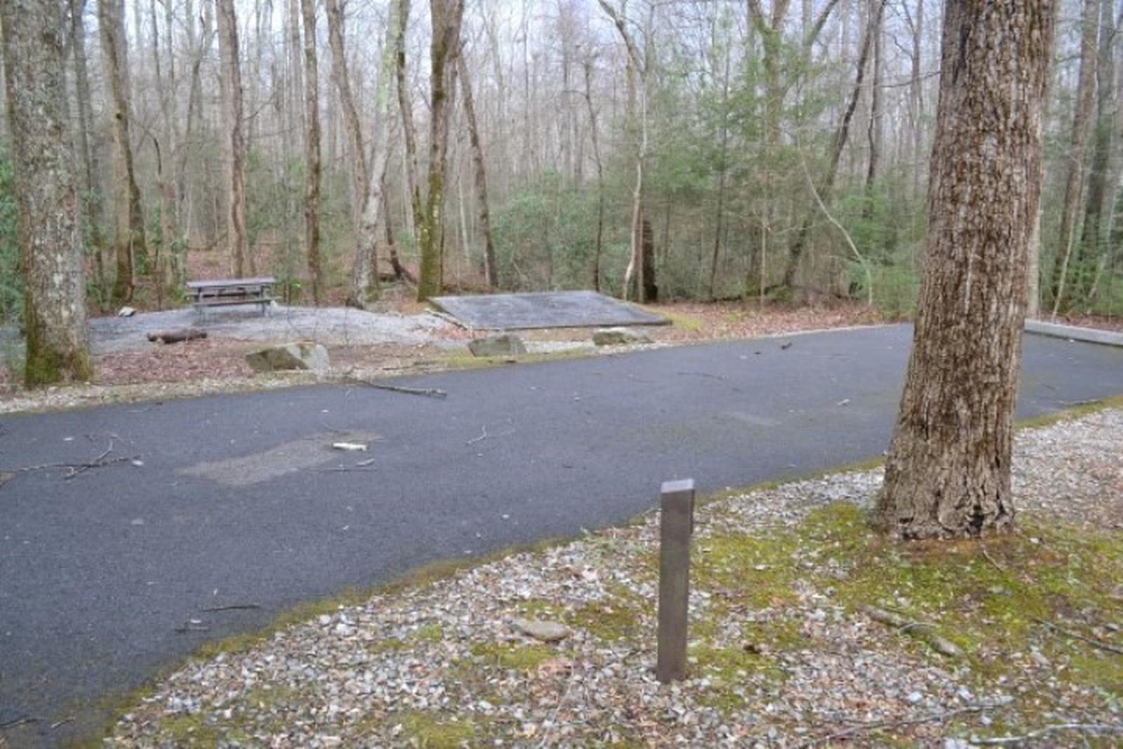 A winter street photo of Site A20 of Loop A-Loop at COSBY CAMPGROUND with Picnic Table, Fire Pit, Tent PadView of the site in winter