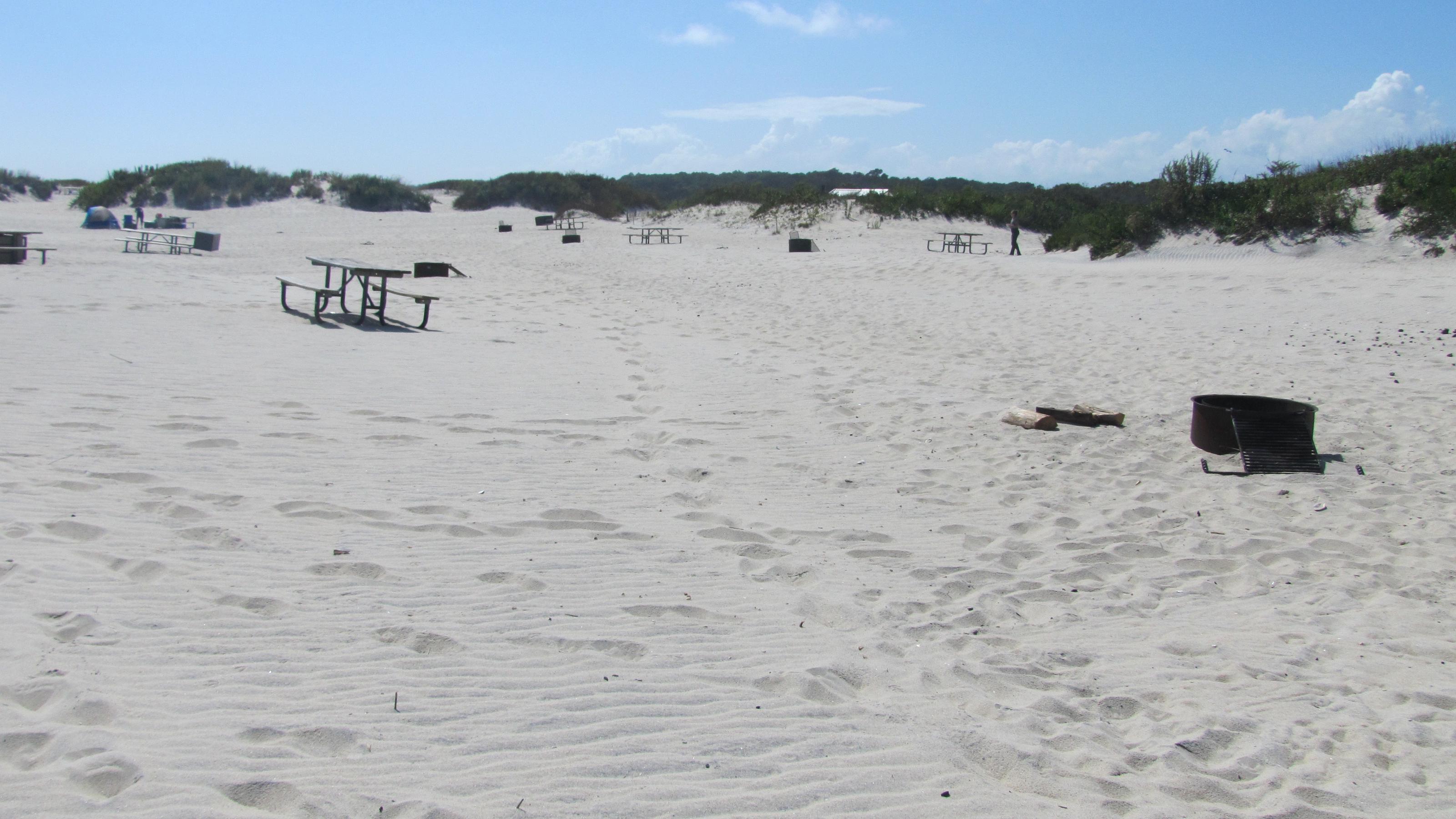 Site 095 Assateague Island National Seashore Campground