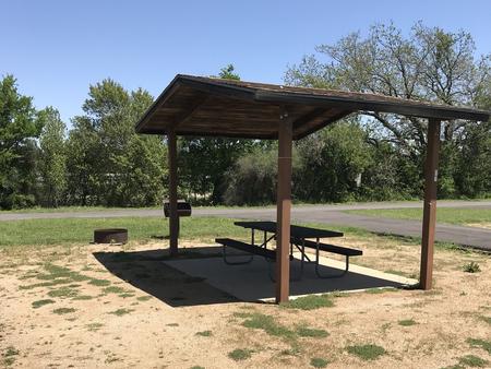 Covered picnic table, grill, and fire ring 