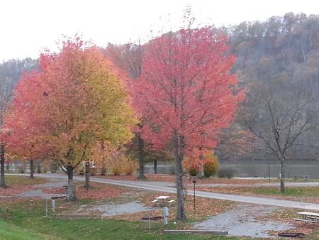 Bulltown Campground in the fall