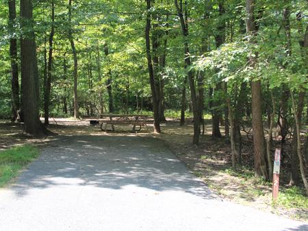 A02  A Loop of the Greenbelt Park Maryland campground