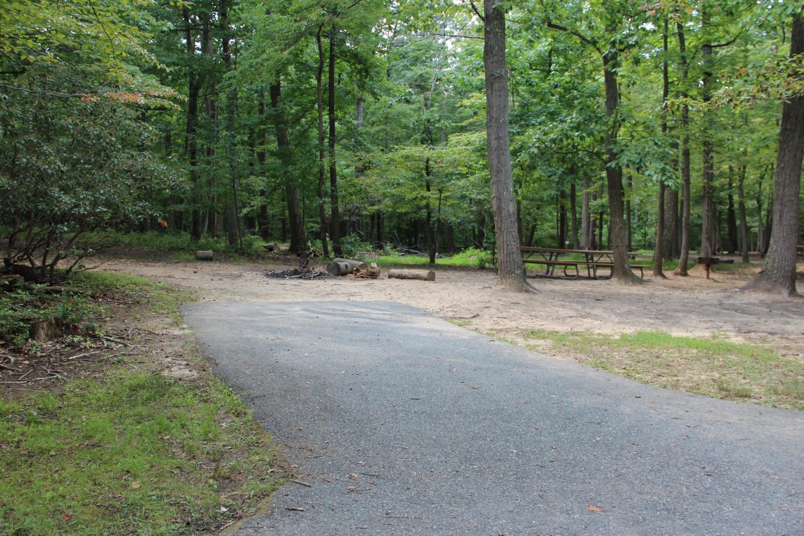 A Loop Site 04 of the Greenbelt Park Maryland Campground