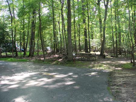 A33  A Loop of the Greenbelt Park Maryland campground
