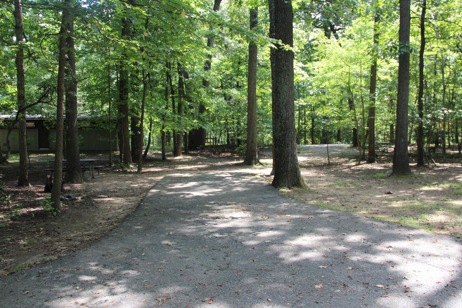 B Loop Site 47 Greenbelt Park Maryland campground (former Site 46)
