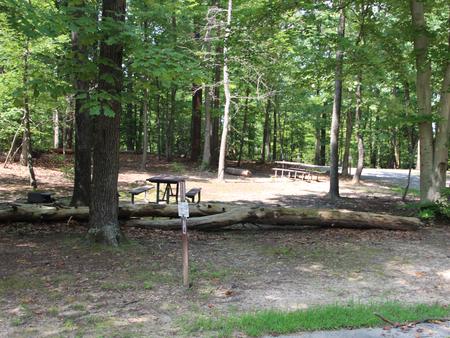 B Loop Site B 73 Greenbelt Park Maryland campground (Previously Site 74)