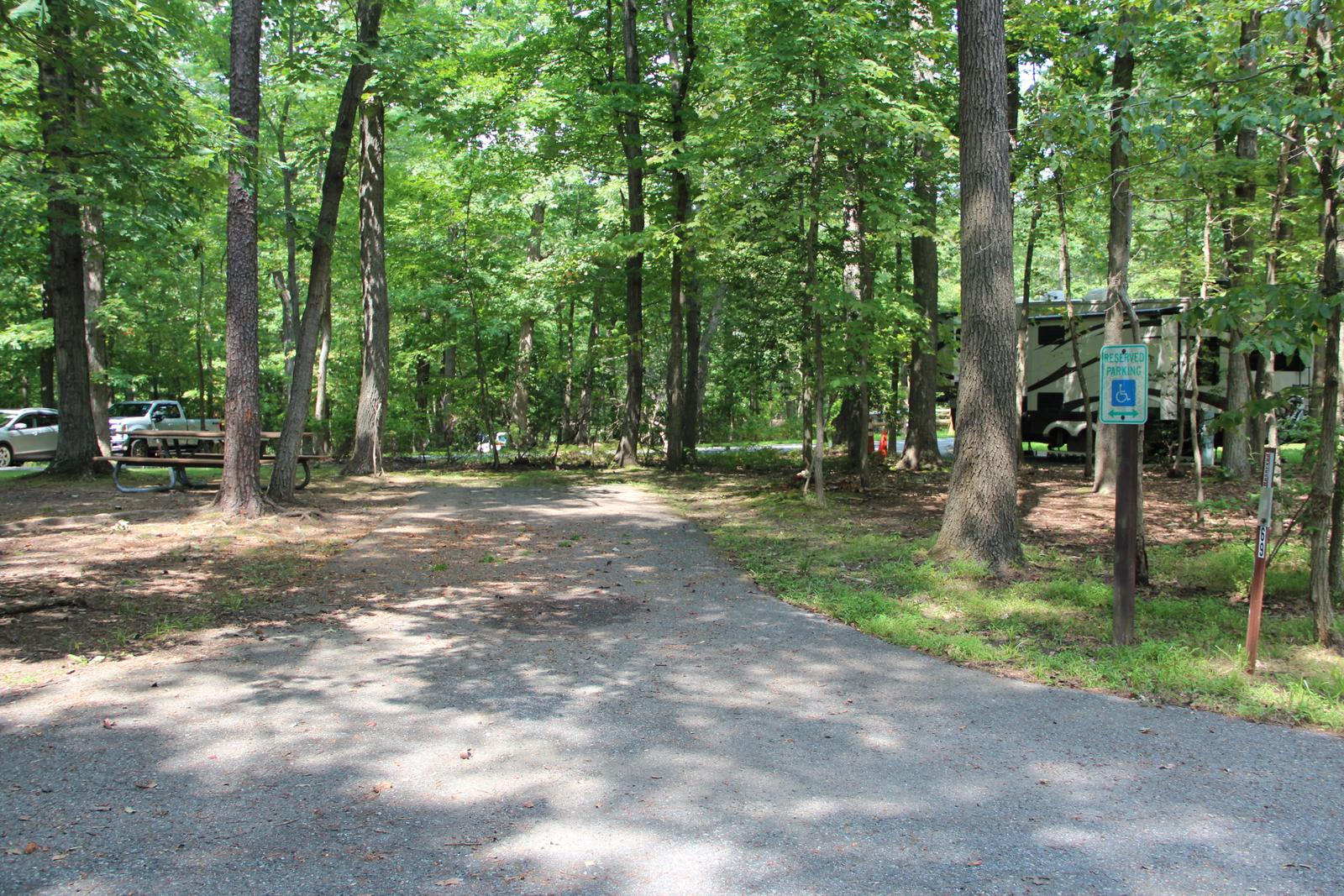B Loop Site B 68 Greenbelt Park Maryland campground (Previously Site 69)