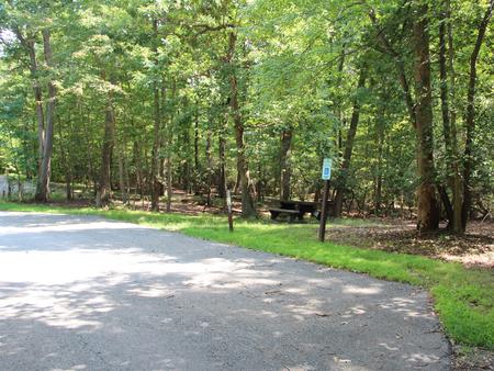 B Loop Site B 69 Greenbelt Park Maryland campground (Previously Site 70)