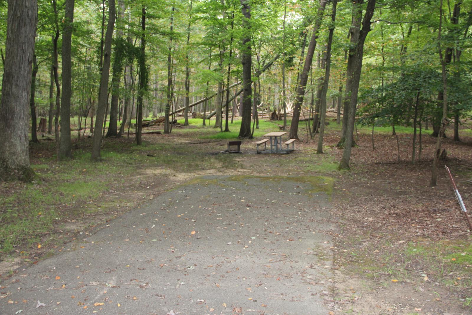 C93 C Loop of the Greenbelt Park Maryland campground