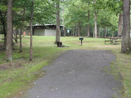 C96 C Loop of the Greenbelt Park Maryland campground