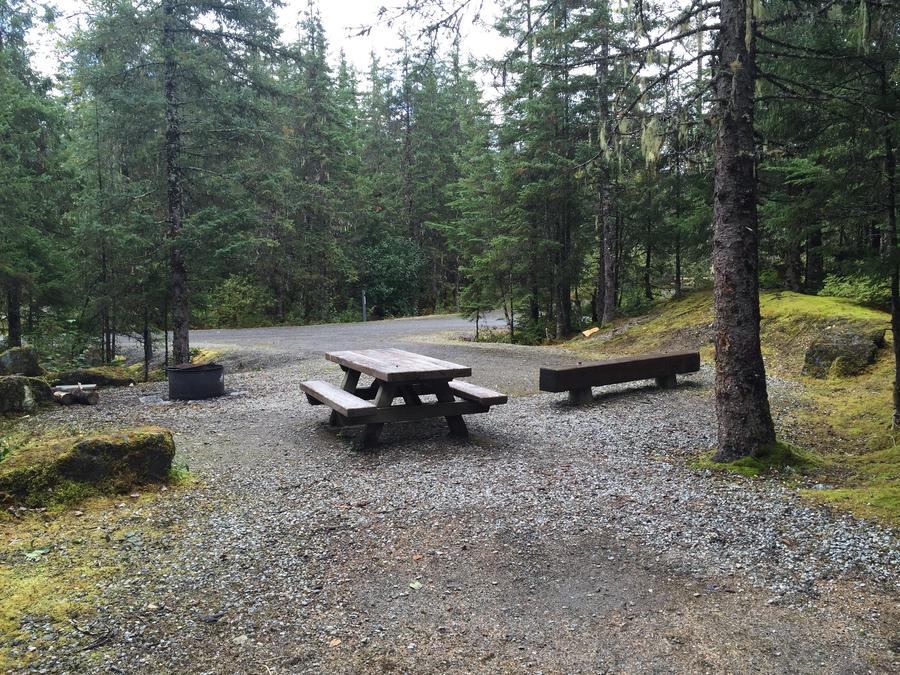 Site 036, Mendenhall Campground - Recreation.gov