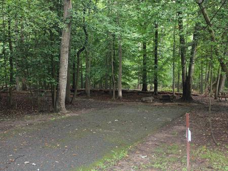 Greenbelt Park, Maryland Campground  Site 21