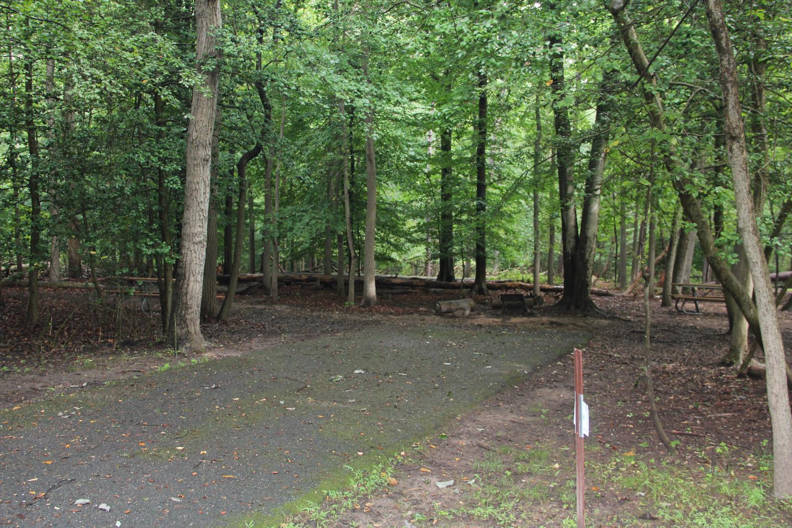 Greenbelt Park, Maryland Campground  Site 21