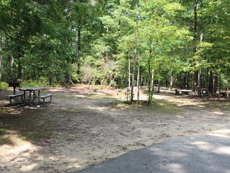 B Loop Site B 71 Greenbelt Park Maryland campground (Previously Site 72)