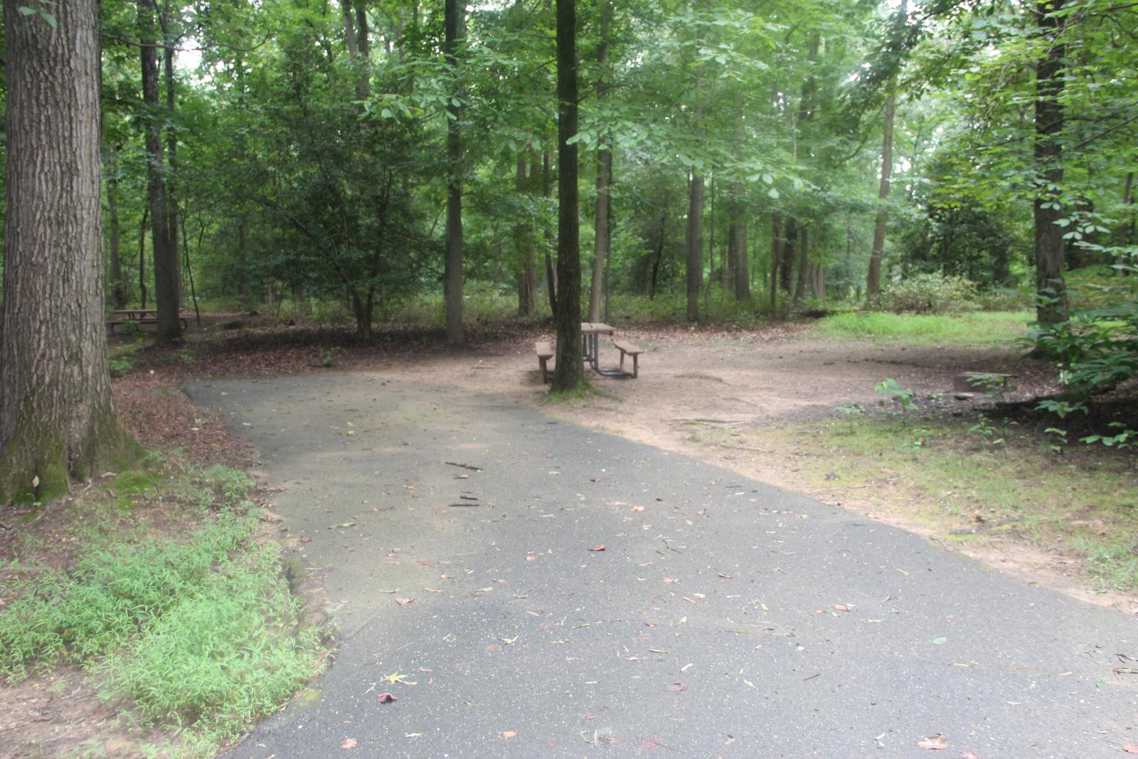 A photo of Site D120 of Loop LOOP D at GREENBELT CAMPGROUND with Picnic Table