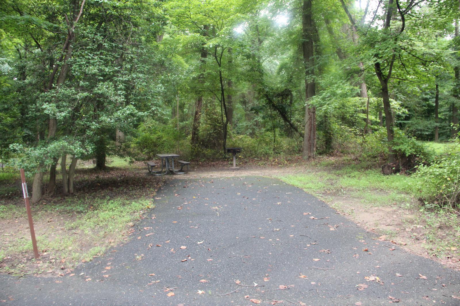 D 124  D Loop of the Greenbelt Park Maryland campground