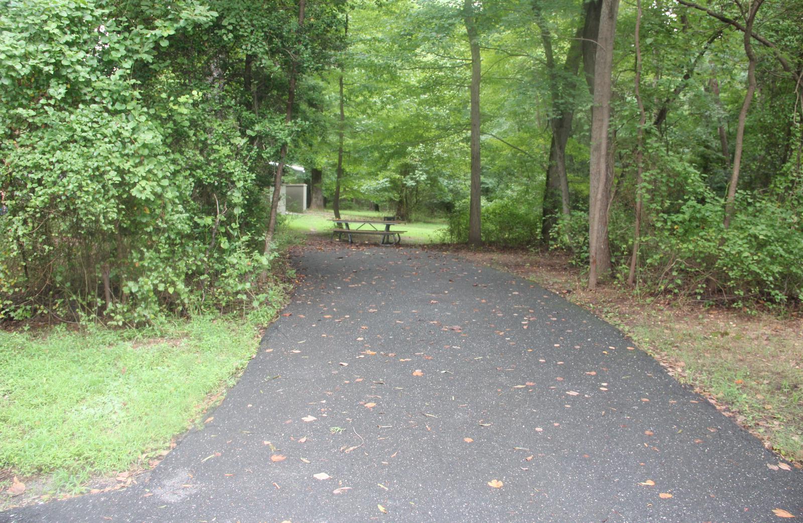 D 129 D Loop of the Greenbelt Park Maryland campground