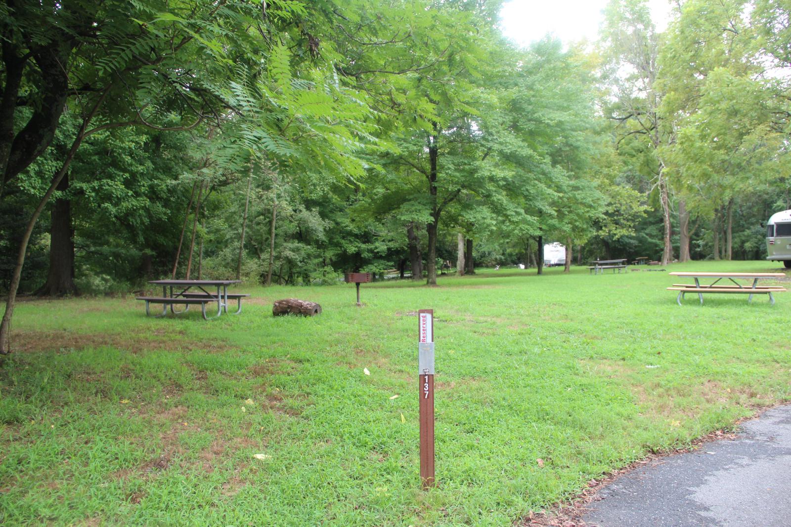 D 135 D Loop of the Greenbelt Park Maryland campground (Former Site 137)