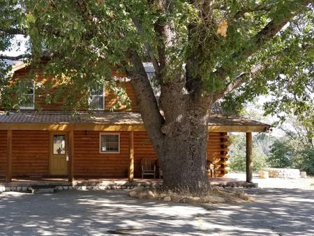 view of the exterior of the Lakeside Cabin with large oak tree