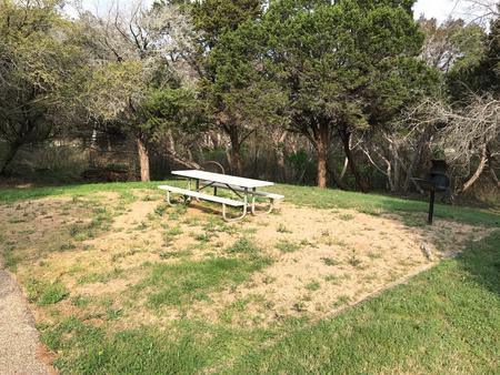 Picnic table, grill, and fire ring at site