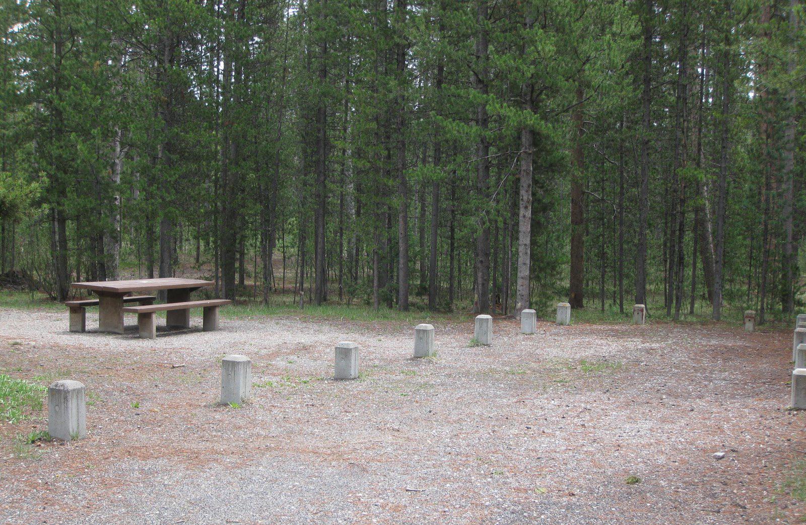 Site A16, surrounded by pine trees, picnic table & fire ringSite A16