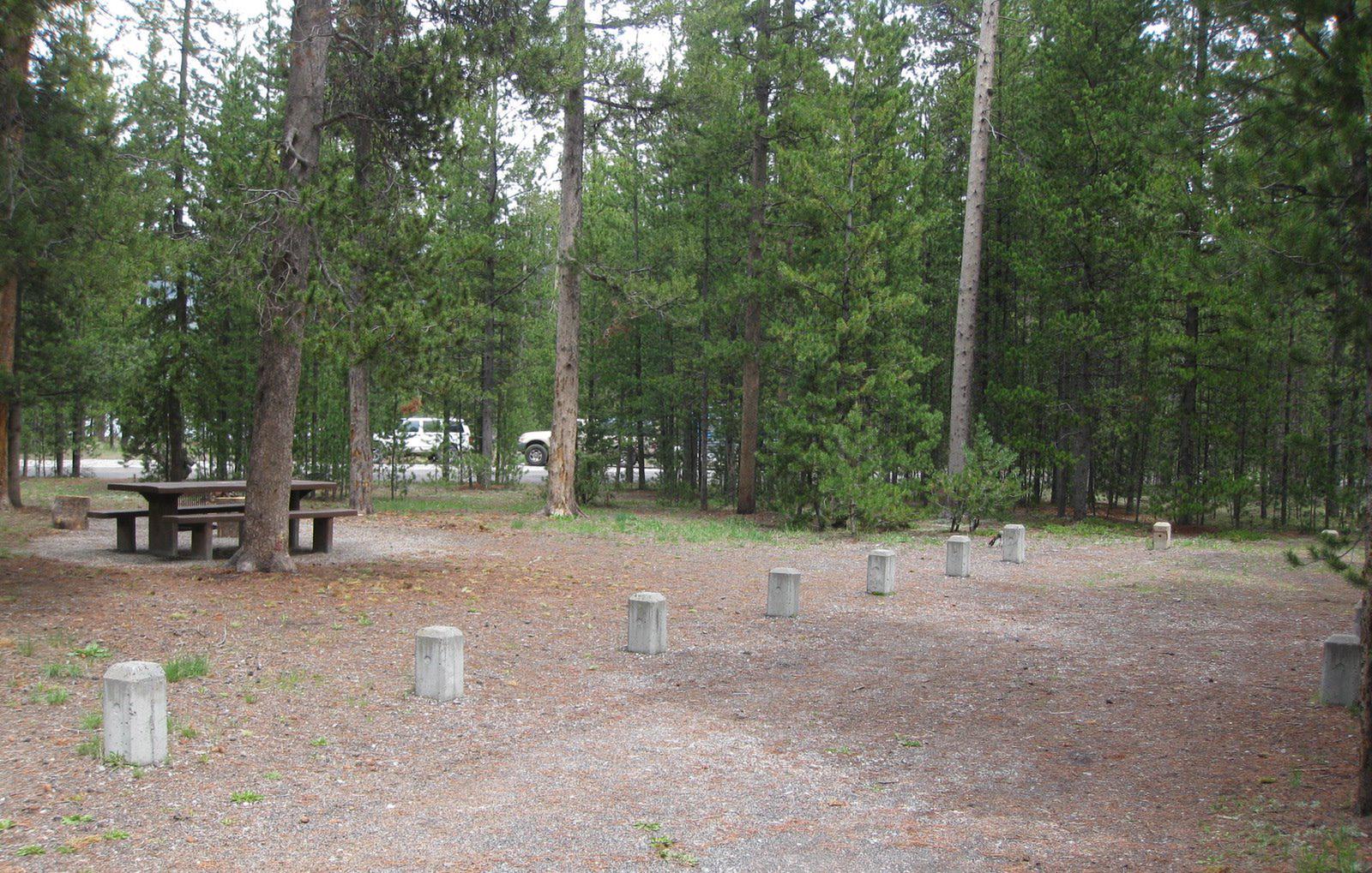 Site A19, surrounded by pine trees, picnic table & fire ringSite A19